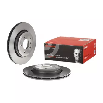 Jeu de 2 disques de frein arrière BREMBO