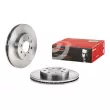Jeu de 2 disques de frein avant BREMBO 09.9591.10 - Visuel 1
