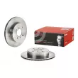 Jeu de 2 disques de frein avant BREMBO 09.9599.10 - Visuel 1