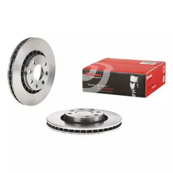 Jeu de 2 disques de frein avant BREMBO 09.9608.24