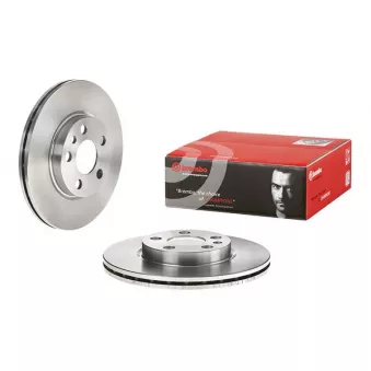 Jeu de 2 disques de frein avant BREMBO 09.9631.34