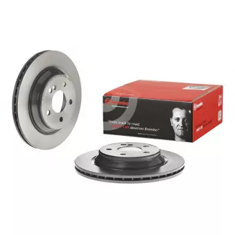 Jeu de 2 disques de frein arrière BREMBO 09.9738.11