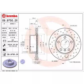 Jeu de 2 disques de frein avant BREMBO 09.9750.2X