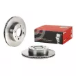 Jeu de 2 disques de frein avant BREMBO 09.9753.20 - Visuel 1