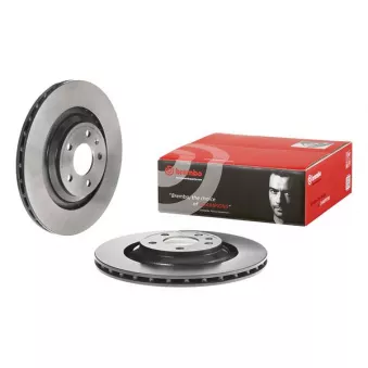 Jeu de 2 disques de frein arrière BREMBO