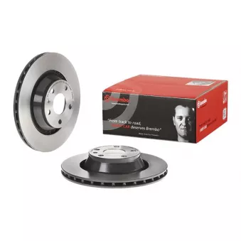 Jeu de 2 disques de frein arrière BREMBO
