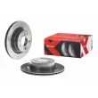 Jeu de 2 disques de frein arrière BREMBO 09.9793.1X - Visuel 1