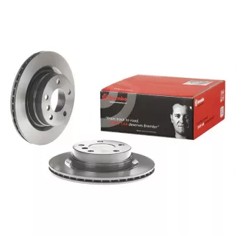 Jeu de 2 disques de frein arrière BREMBO 09.9793.21