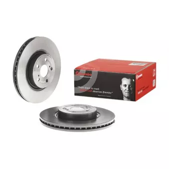 Jeu de 2 disques de frein avant BREMBO 09.9817.11