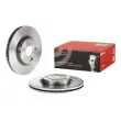 Jeu de 2 disques de frein avant BREMBO 09.9817.20 - Visuel 1