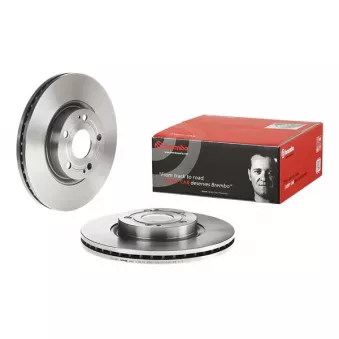 Jeu de 2 disques de frein avant BREMBO 09.9817.20