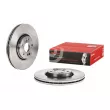 Jeu de 2 disques de frein avant BREMBO 09.9821.20 - Visuel 1