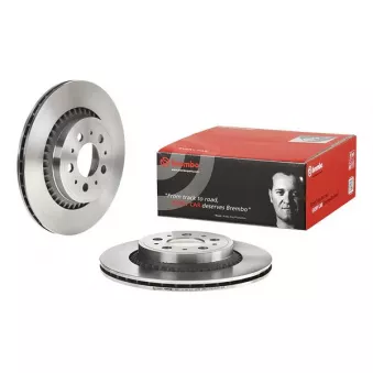 Jeu de 2 disques de frein arrière BREMBO 09.9827.10