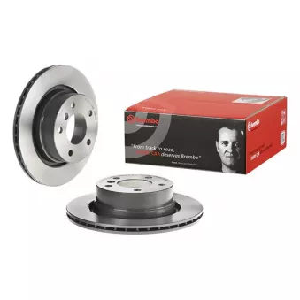 Jeu de 2 disques de frein arrière BREMBO 09.9869.81