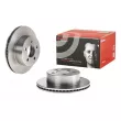 Jeu de 2 disques de frein avant BREMBO 09.9905.10 - Visuel 1