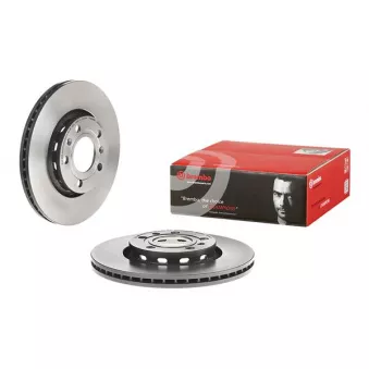 Jeu de 2 disques de frein arrière BREMBO 09.9908.21