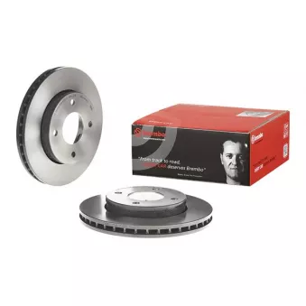 Jeu de 2 disques de frein avant BREMBO 09.9991.11