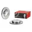 Jeu de 2 disques de frein avant BREMBO 09.A136.10 - Visuel 1
