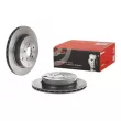 Jeu de 2 disques de frein arrière BREMBO 09.A198.21 - Visuel 1