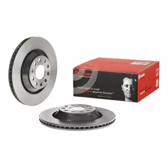 Jeu de 2 disques de frein arrière BREMBO 09.A200.11