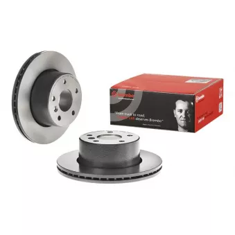 Jeu de 2 disques de frein avant BREMBO 09.A229.11