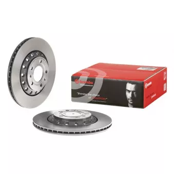 Jeu de 2 disques de frein arrière BREMBO 09.A269.11
