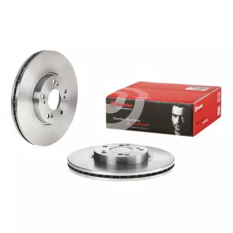 Jeu de 2 disques de frein avant BREMBO 09.A272.10