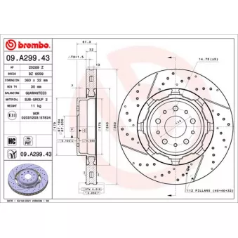 Jeu de 2 disques de frein avant BREMBO