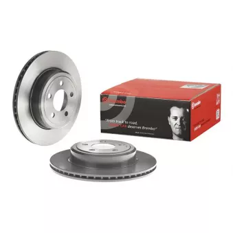 Jeu de 2 disques de frein arrière BREMBO