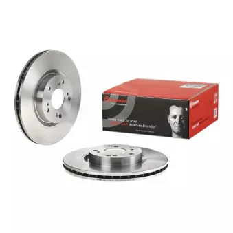 Jeu de 2 disques de frein avant BREMBO 09.A407.10