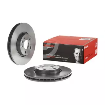 Jeu de 2 disques de frein avant BREMBO 09.A427.11