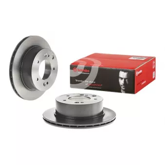 Jeu de 2 disques de frein arrière BREMBO 09.A453.11