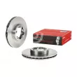 Jeu de 2 disques de frein avant BREMBO 09.A531.20 - Visuel 1