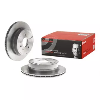 Jeu de 2 disques de frein arrière BREMBO 09.A629.11