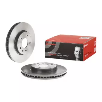 Jeu de 2 disques de frein avant BREMBO 09.A630.11
