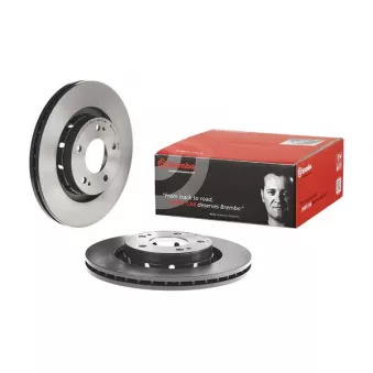 Jeu de 2 disques de frein avant BREMBO 09.A738.11