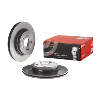 Jeu de 2 disques de frein arrière BREMBO 09.A760.11