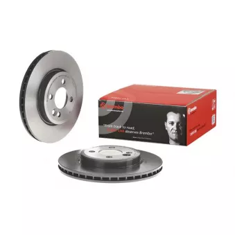 Jeu de 2 disques de frein avant BREMBO 09.A761.11