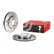 Jeu de 2 disques de frein avant BREMBO 09.A913.14 - Visuel 1