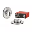 Jeu de 2 disques de frein avant BREMBO 09.A917.10 - Visuel 1