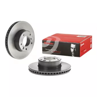Jeu de 2 disques de frein avant BREMBO 09.A917.11