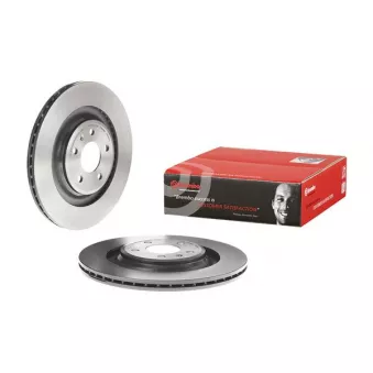 Jeu de 2 disques de frein arrière BREMBO