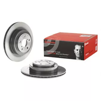 Jeu de 2 disques de frein arrière BREMBO 09.B041.11