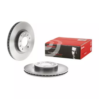 Jeu de 2 disques de frein avant BREMBO