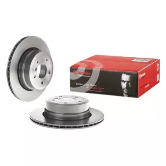 Jeu de 2 disques de frein arrière BREMBO 09.B313.11
