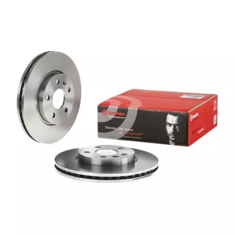 Jeu de 2 disques de frein avant BREMBO 09.B355.10