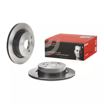 Jeu de 2 disques de frein arrière BREMBO