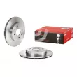 Jeu de 2 disques de frein avant BREMBO 09.B523.10 - Visuel 1