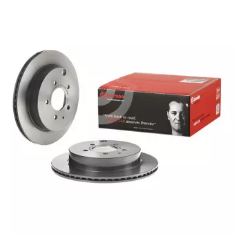 Jeu de 2 disques de frein arrière BREMBO 09.B541.11
