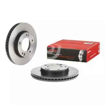 Jeu de 2 disques de frein avant BREMBO 09.B613.11